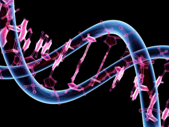 Генетические маркеры, связанные с ростом лимфедемы у женщин с раком молочной железы
